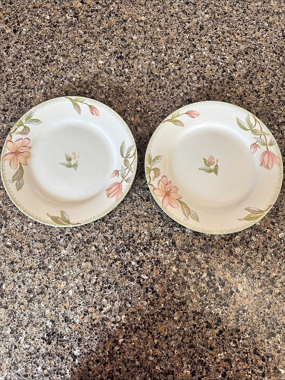 Oneida Savannah Select Collection Porcelain 7 1/2" Floral Plates Set of 2